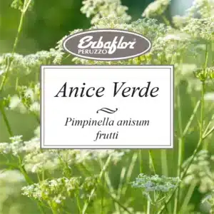 anice verde