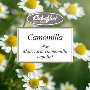 camomilla