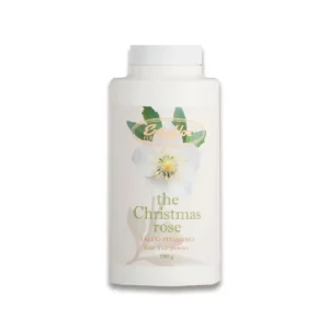 Talco the Christmas rose