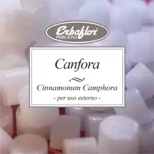 canfora