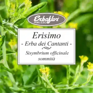 erisimo