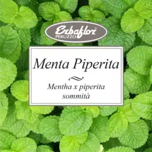 Menta Piperita