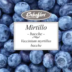 mirtillo nero bacche
