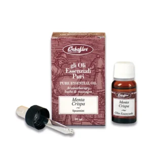 olio essenziale di menta crispa