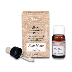 olio essenziale di pino mugo