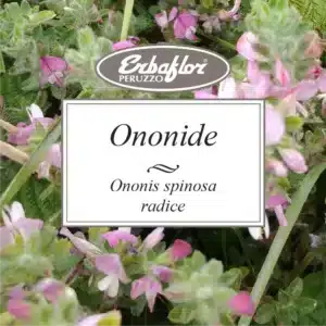 ononide