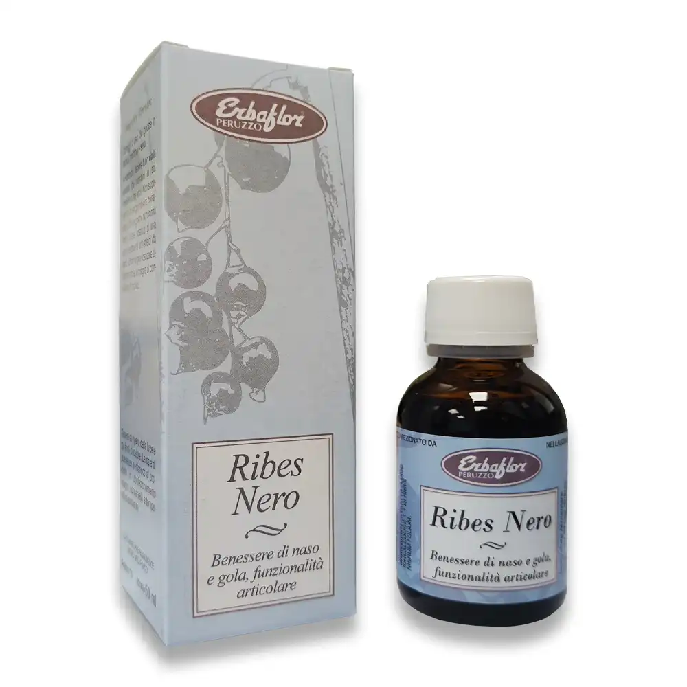 ribes nero estratto fluido