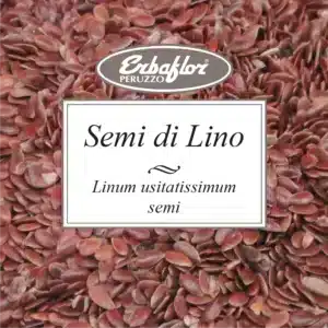 semi di lino