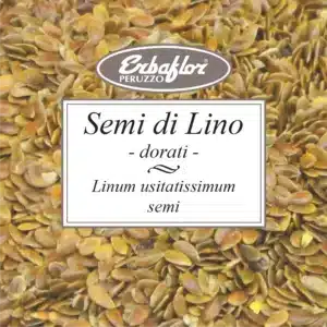 semi di lino dorati