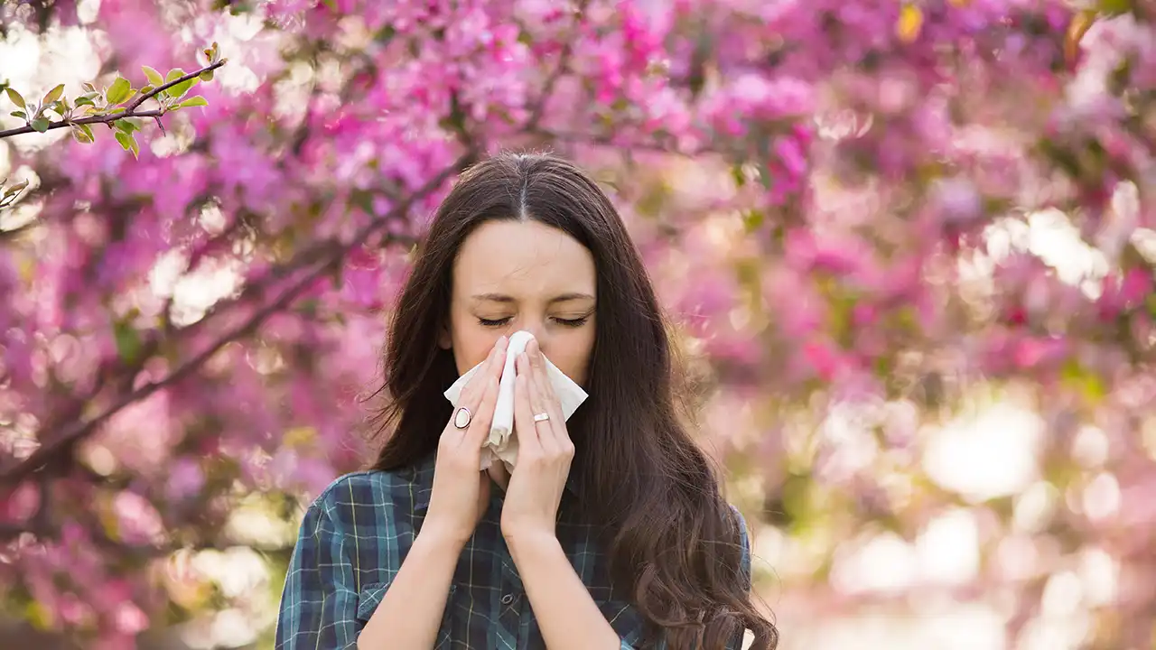 allergia-ai-pollini-intro